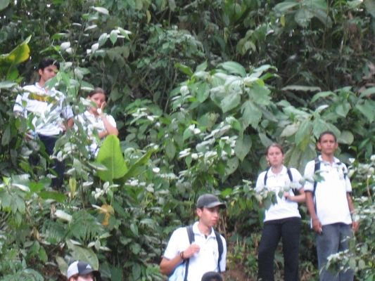 Preserving Biodiversity, Ecosystems, and Habitats