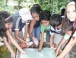 Summer Camp 2011! What an Animal!