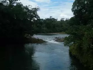 Sarapiqui River Clean Up